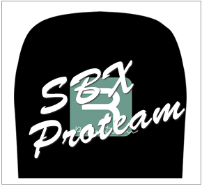 rabanser snowboards,RABANSER SNOWBOARDS,ラバンサー